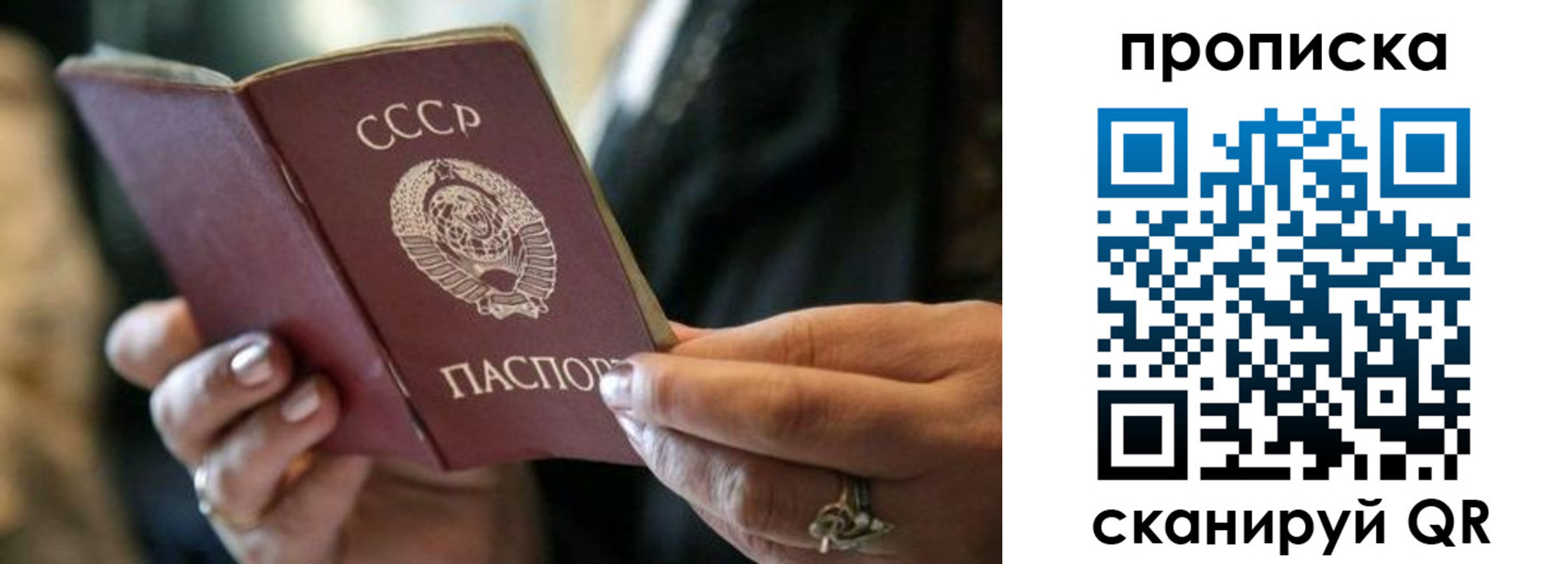 пропишу в квартире в Бородино